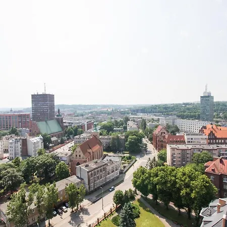 Elite Bastion Walowa *